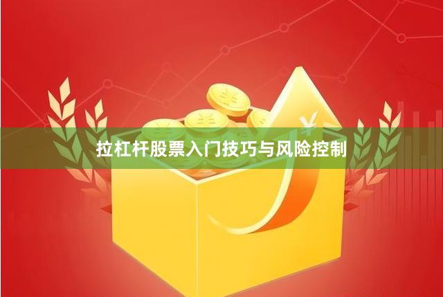 拉杠杆股票入门技巧与风险控制