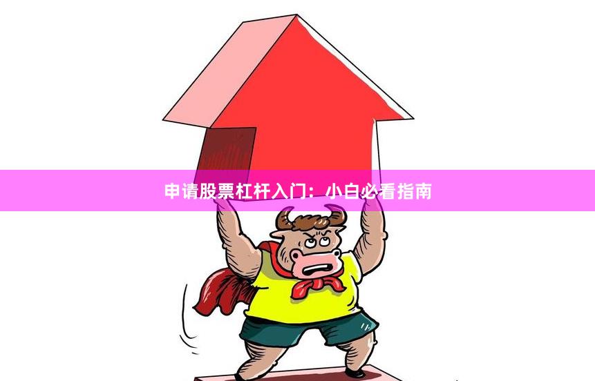 申请股票杠杆入门：小白必看指南