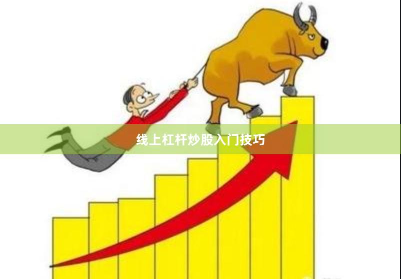 线上杠杆炒股入门技巧