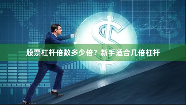 股票杠杆倍数多少倍？新手适合几倍杠杆